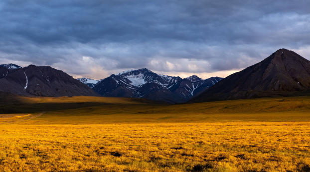 Beautiful Yellow Grass Field With Sunrays Landscape View Wallpaper 720x1520 Resolution