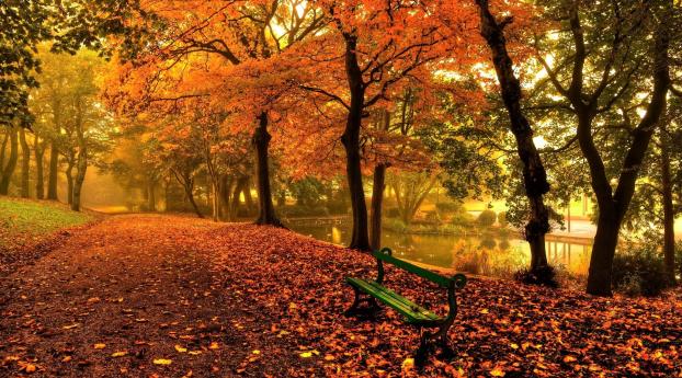 Bench And Trees From Autumn Park In Fall Wallpaper 1200x400 Resolution