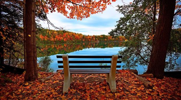 bench, autumn, river Wallpaper 320x240 Resolution