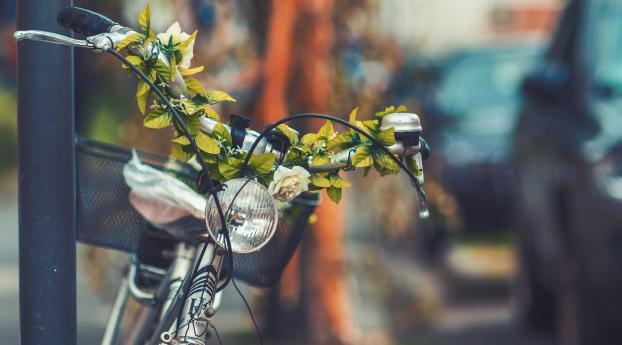 bicycle, flowers, headlight Wallpaper 2932x2932 Resolution