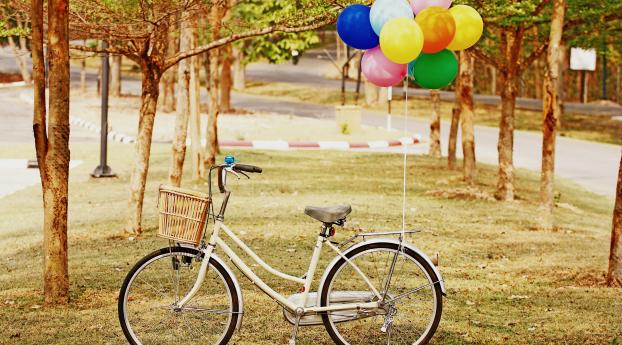 bicycle, park, balloons Wallpaper