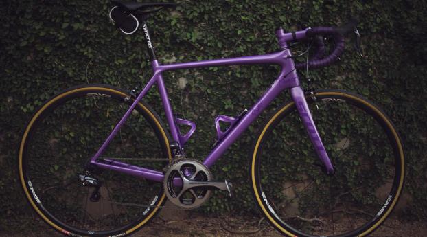 bike, sport, bushes Wallpaper 5000x5000 Resolution