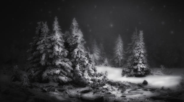 Black & White Snow Winter Night Wallpaper 7689x2160 Resolution