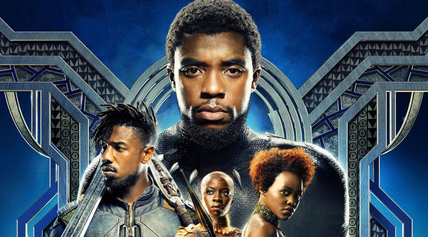 Black Panther 2018 Movie Wallpaper 1024x600 Resolution