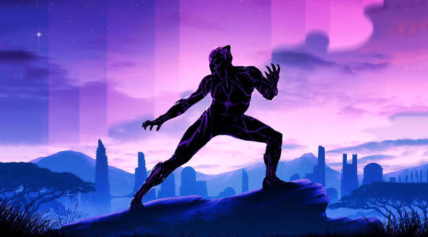 Black Panther 2020 Wallpaper 360x480 Resolution