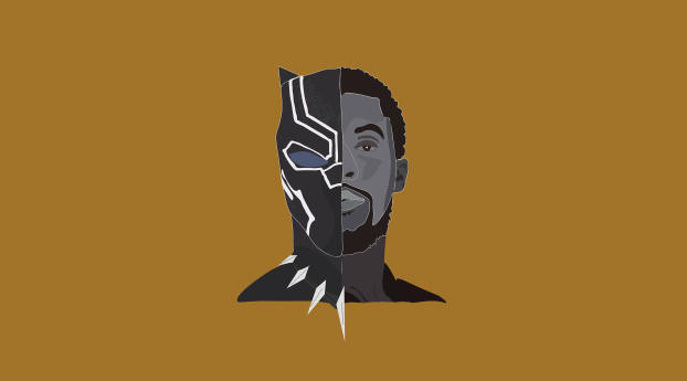 Black Panther Chadwick Boseman Movie Minimalism Wallpaper 2048x1152 Resolution