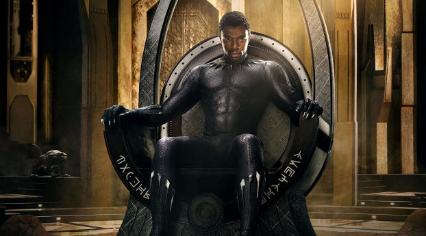 Black Panther Poster Wallpaper 480x854 Resolution