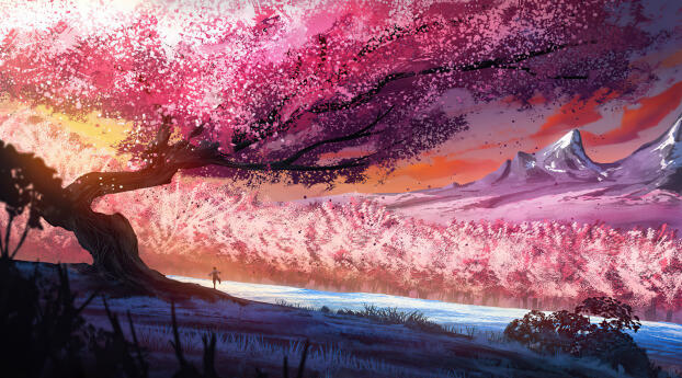 Blossom HD Artistic Tree Wallpaper