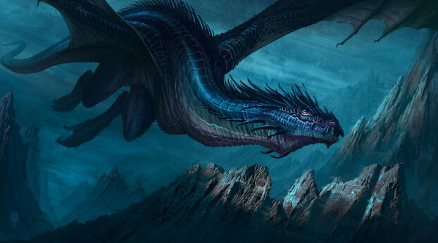 Blue Dragon Art Wallpaper 1440x2992 Resolution