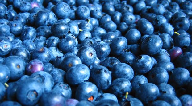 blueberry, berry, many Wallpaper 1920x1080 Resolution