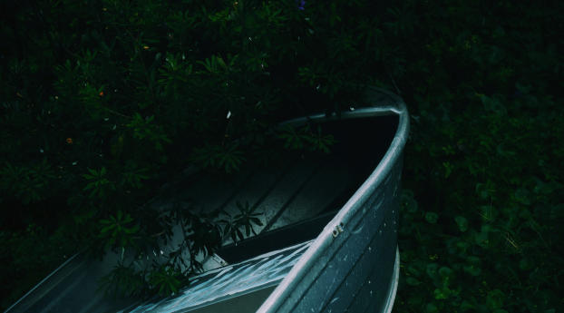 boat, plants, branches Wallpaper 320x568 Resolution