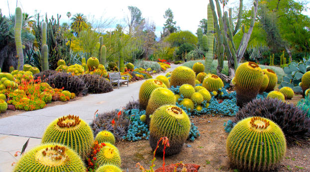 botanical garden, san marino, california Wallpaper 1280x720 Resolution