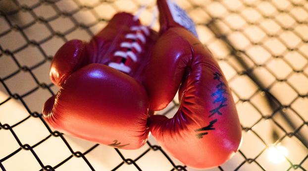 boxing gloves, fight, boxing Wallpaper 1280x2120 Resolution