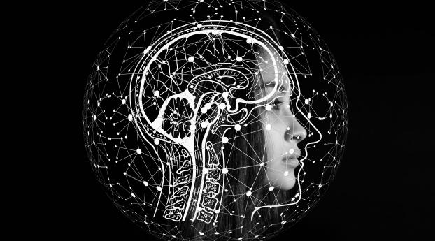 Brain Artificial intelligence Human HD Wallpaper 1920x1080 Resolution