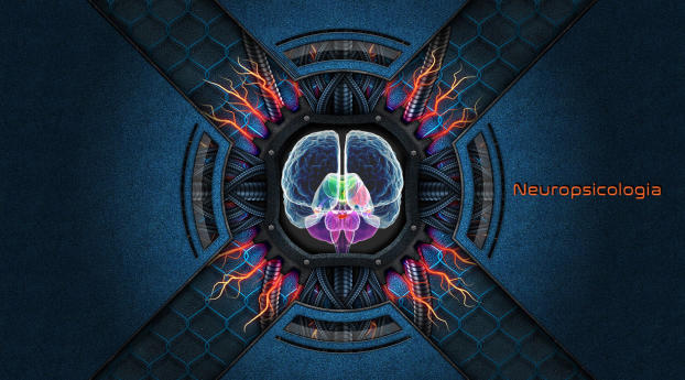 Brain Neuropsychology Wallpaper 828x792 Resolution