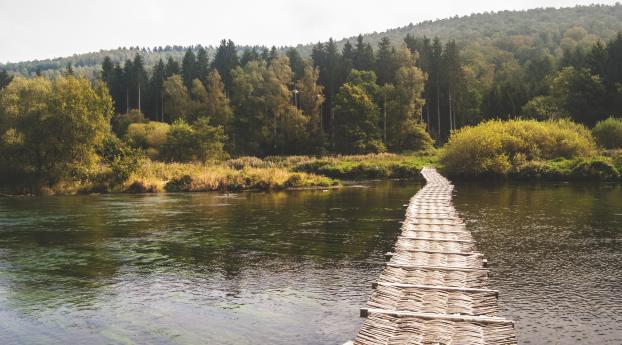 bridge, forest, river Wallpaper 640x1136 Resolution