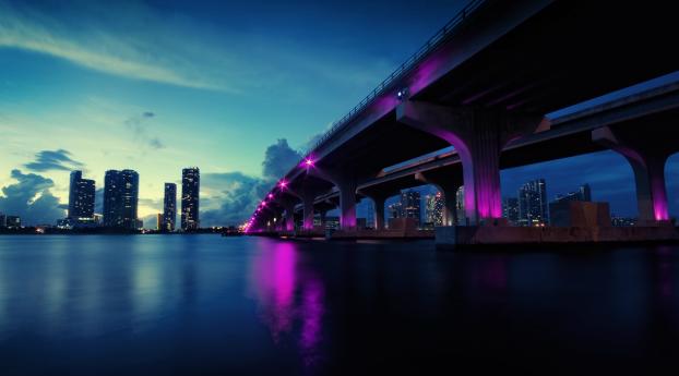 bridge, lights, evening Wallpaper 2560x1600 Resolution