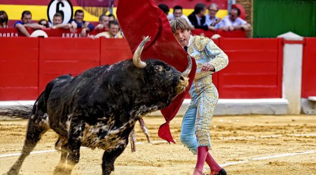 bullfighter, bull, spain Wallpaper 2048x1152 Resolution