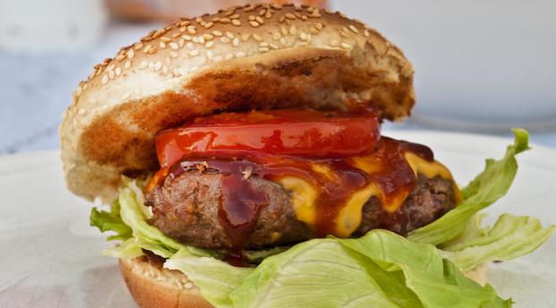 burger, cheddar, cheese Wallpaper 2880x1800 Resolution