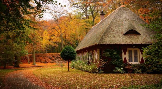 cabins, forest, autumn Wallpaper 800x1280 Resolution