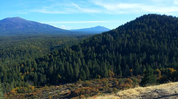 california, mountains, trees Wallpaper 1125x2436 Resolution