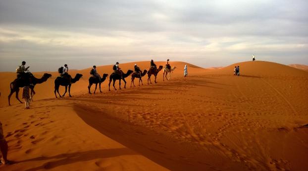 camels, caravan, desert Wallpaper
