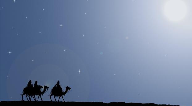 camels, walk, sky Wallpaper 720x720 Resolution
