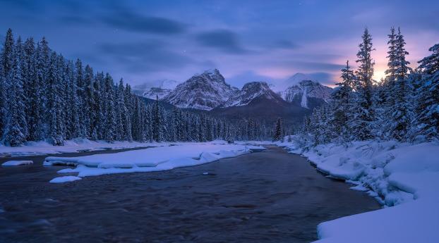 Canada Canadian Rockies in Winter Wallpaper 1080x2300 Resolution