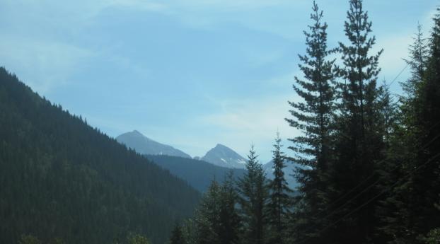 canada, mountains, trees Wallpaper 540x960 Resolution