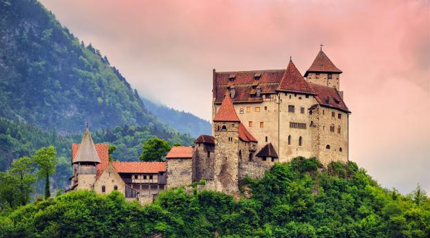 Castle In The Forest Top Of Mountains Wallpaper 480x800 Resolution