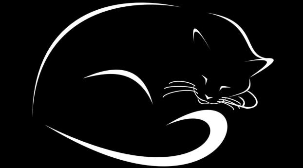 cat, black, vector Wallpaper 2048x1152 Resolution