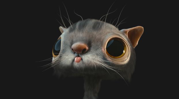 cat, face, 3d Wallpaper 1440x900 Resolution