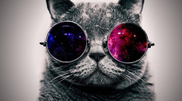 cat, face, glasses Wallpaper 1080x2160 Resolution