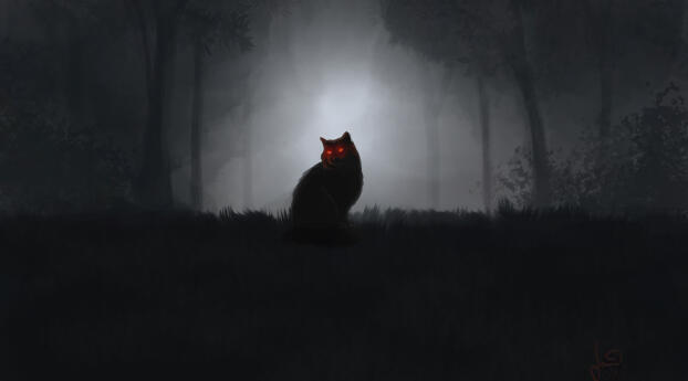 Cats Night Out Wallpaper 320x320 Resolution