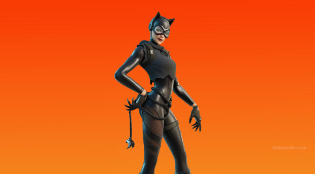 Catwoman Zero Fortnite Wallpaper 720x1280 Resolution