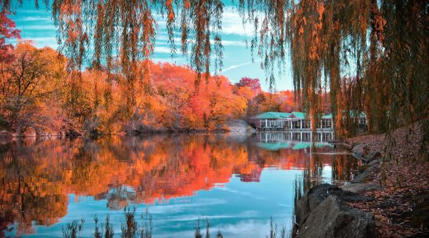 central park, new york, autumn Wallpaper 2560x1440 Resolution