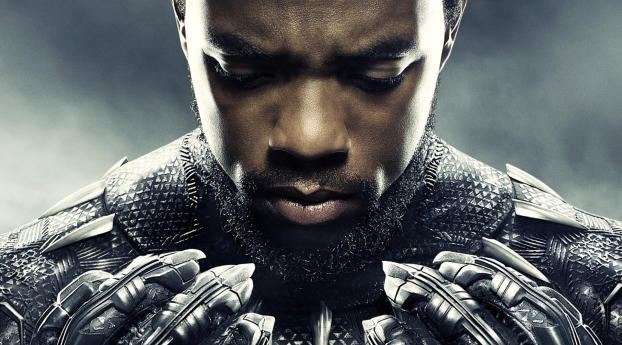 Chadwick Boseman In Black Panther Wallpaper 1080x2160 Resolution
