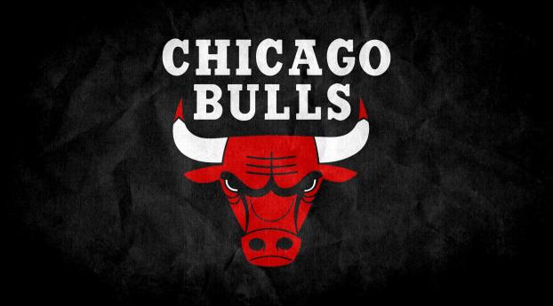chicago bulls, 2015, logo Wallpaper 320x568 Resolution