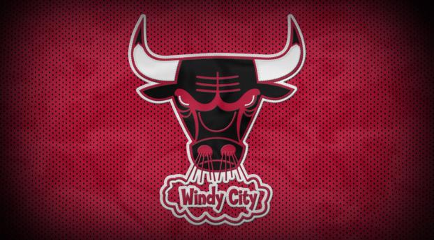 chicago bulls, bull, basketball Wallpaper 1920x1080 Resolution