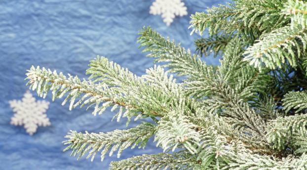 christmas, new year, fur-tree Wallpaper 1080x2160 Resolution
