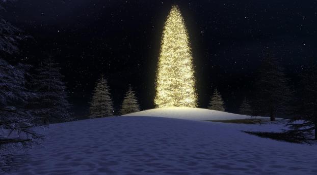 christmas tree, garlands, forest Wallpaper 1400x900 Resolution