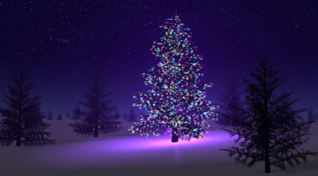 Christmas Tree with Light Decorations Wallpaper