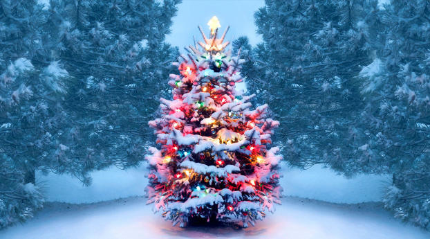 Christmas Tree With Snow And Lights Decoration Wallpaper