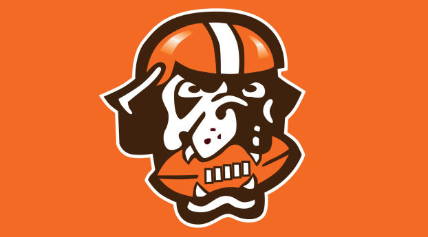cleveland browns, american football, cleveland Wallpaper 480x800 Resolution