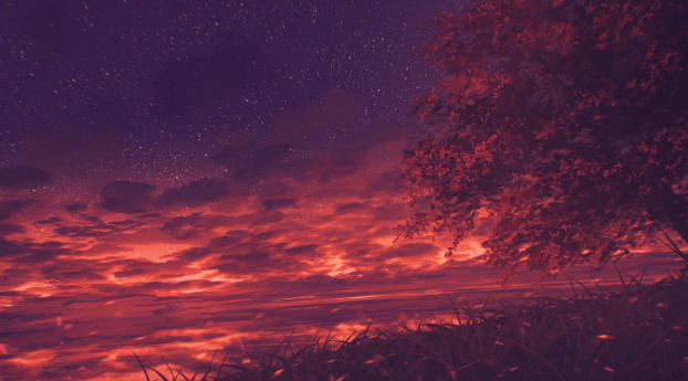 Cloudy Orange Sunset in Forest Wallpaper 950x1534 Resolution