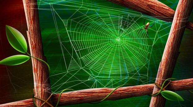 cobwebs, leaves, wood Wallpaper 1440x900 Resolution