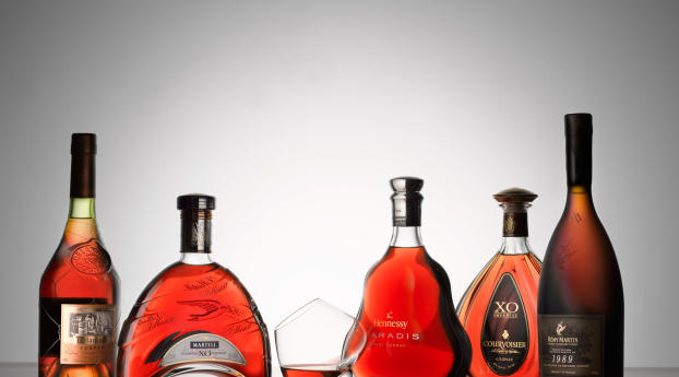 cognac, hennessy, rémy martin Wallpaper 240x320 Resolution