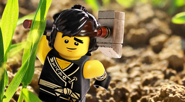  Cole from Kai - The LEGO Ninjago Movie Wallpaper 720x1560 Resolution