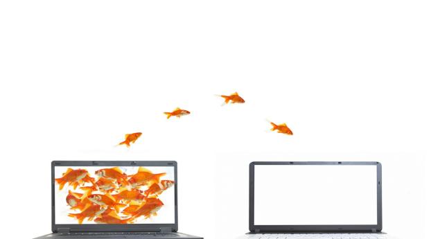 computer, fish, white Wallpaper