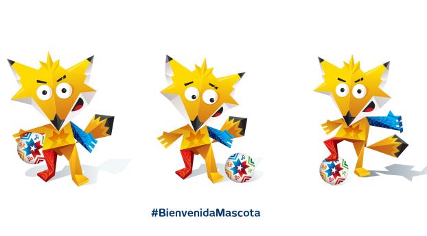 copa america 2015, soccer, logo Wallpaper 1080x2160 Resolution